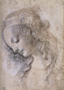 Woman portrait LEONARDO da Vinci